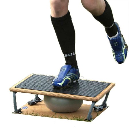 FISIOTECH TEMIX STEP PER GINNASTICA PROPRIOCETTIVA