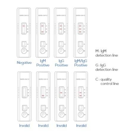 TEST COVID-19 (SARS-CoV-2) - PROFESSIONALE - 20 TEST