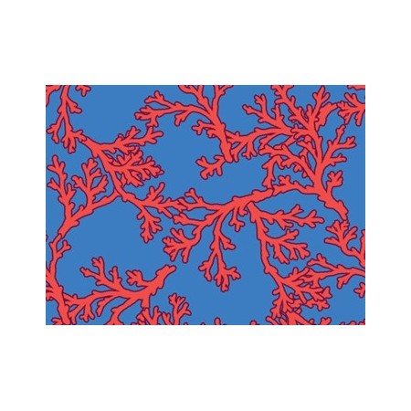 GIMA CAPPELLINO FANTASIA - CORALLO