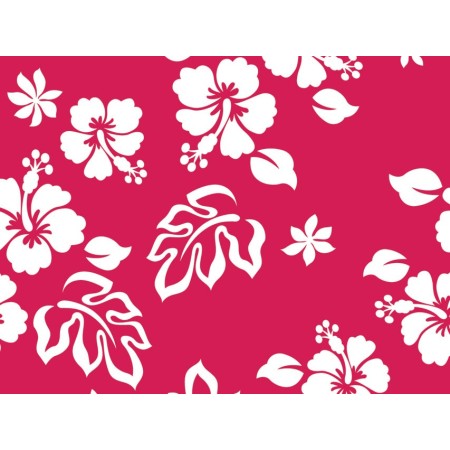 GIMA  CAPPELLINO FANTASIA - TROPICAL