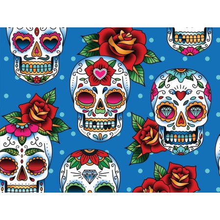 GIMA CAPPELLINO FANTASIA - TESCHIO