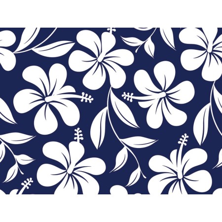 GIMA CAPPELLINO FANTASIA - HAWAII