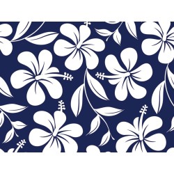 GIMA CAPPELLINO FANTASIA - HAWAII