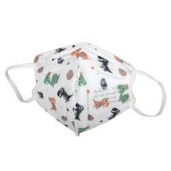 GIMA MASCHERINA FFP2 - SMALL - DINOSAURI (CONFZ. 20 PZ.)