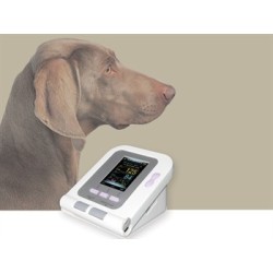GIMA MISURATORE DI PRESSIONE PER ANIMALI