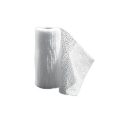 BENDA ELASTICA COESIVA 20 M X  12 CM