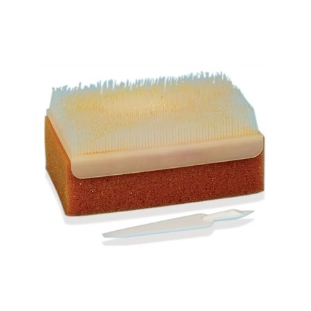 GIMA KIT SPAZZOLA SCRUB IODOPOVIDONE (CONF. 30 PZ.)