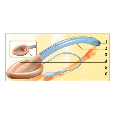 GIMA MASCHERA LARINGEA RIUTILIZZABILE-MISURE DIVERSE