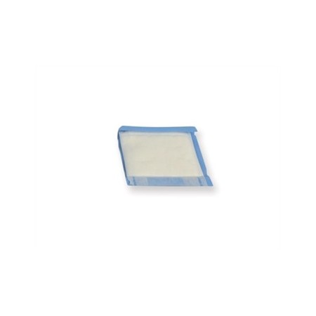 GIMA PADS ASSORBENTI 10 X 10 CM STERILI (CONF. 60 PZ.)