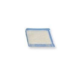 GIMA PADS ASSORBENTI 10 X 10 CM STERILI (CONF. 60 PZ.)