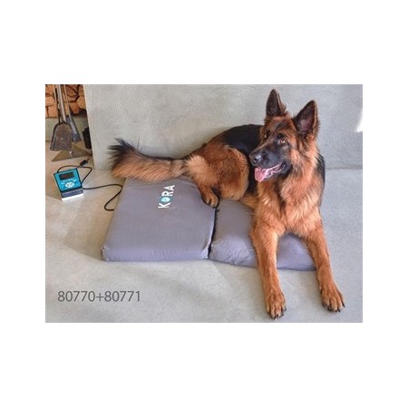 KORA MAGNETOTERAPIA VETERINARIA - KIT BASE