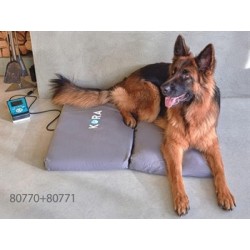 KORA MAGNETOTERAPIA VETERINARIA - KIT BASE