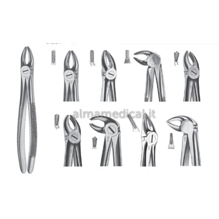 MORETTI TROUSSE 10 PINZE ESTRAZIONE DENTALE + ASTUCCIO