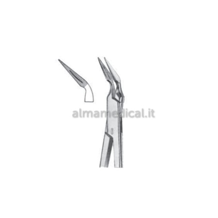 MORETTI PINZA PER FRAMMENTI STIEGLITZ 