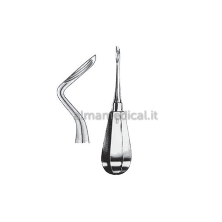 MORETTI LEVA PER RADICI KOPP CURVA A DX