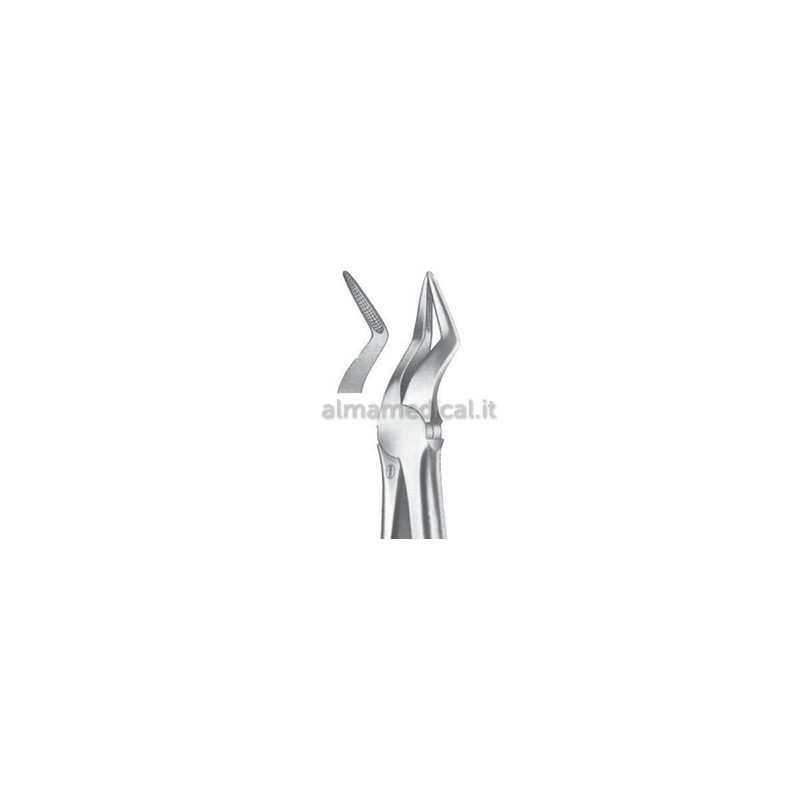 MORETTI PINZA DA ESTRAZIONE MANICO INGLESE 51A