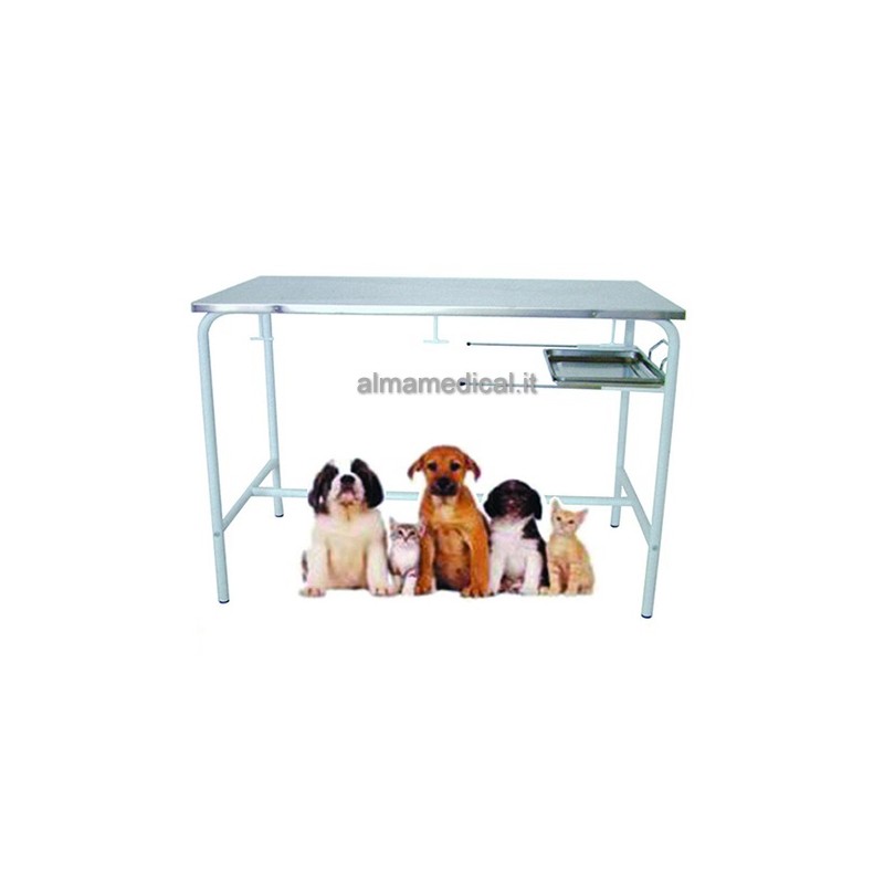 GIMA TAVOLO VISITA VETERINARIA