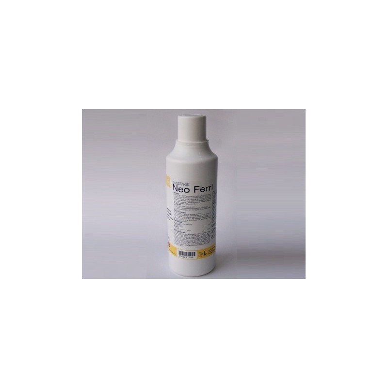 SANITAS DISINFETTANTE AL BENZALCONIO NEO FERRI 1LT