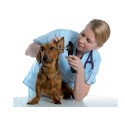 MD VIDEOTOSCOPIO MD SCOPE VETERINARIA - 2 SONDE