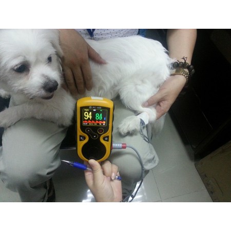 GIMA SATURIMETRO OXY-100 VETERINARIA