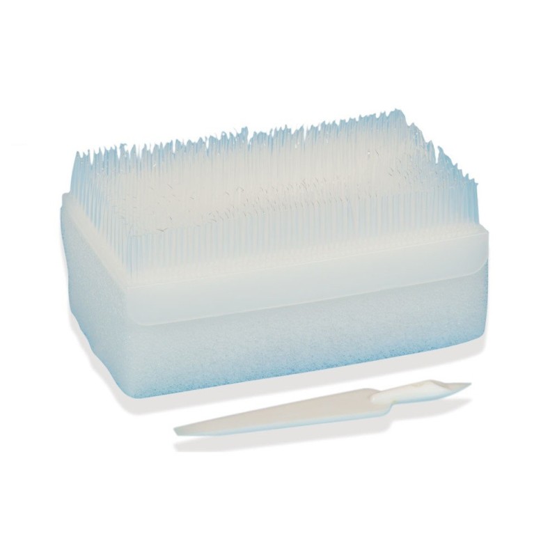 GIMA SPAZZOLA - STERILE (CONF. DA 32 PZ)