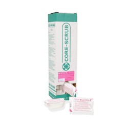 GIMA SPAZZOLA ALLA CLOREXIDINA - STERILE (CONF. 32 PZ)