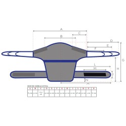 MORETTI IMBRACATURA DORSALE PRATIKO CON FASCIA
