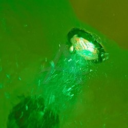 WEELKO VASCHETTA IDROMASSAGGIO PER PIEDI CON RUOTE - ILLUMINAZIONE LED (META)