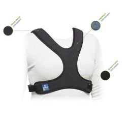 MORETTI CINTURA PETTORALE A CORPETTO A FARFALLA