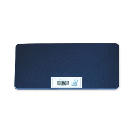 GIMA BILANCIA VETERINARIA - MEDIA