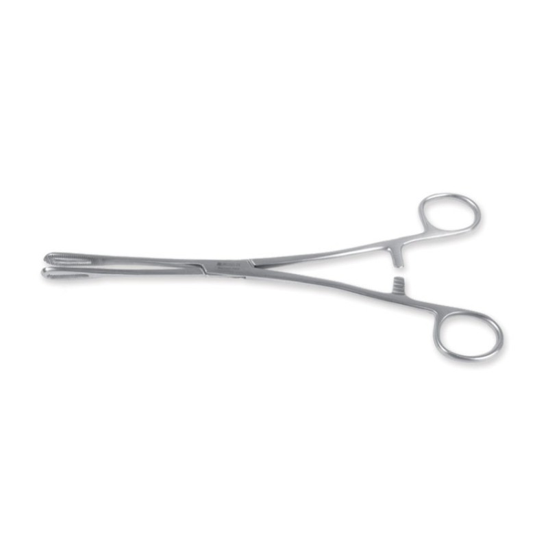 GIMA PINZE PER TAMPONI  RAMPLEY - MISURE DIVERSE