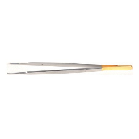 GIMA PINZE GERALD C.T. - 17 CM - PUNTE ZIGRINATE